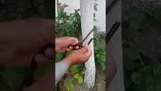 Strong rope knots