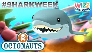 @Octonauts - It's Shark Week! | Compilation | Wizz Cartoons