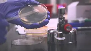 Freshman Research Spotlight: Antibiotics Discovery and Function