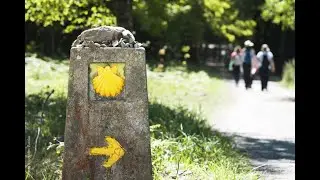 Compostelle - de Condom à Saint-Jean-Pied-de-Port