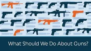 What Should We Do About Guns? | 5 Minute Video