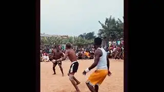 Yar Mage YBg Dogon Bodinga #foryou #dambe #sports #africa #views #shortsfeed #shorts #shortvideo
