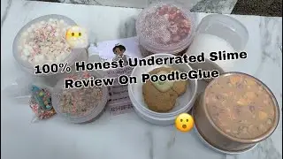 100% Honest Underrated Slime Shop Review On PoodleGlue
