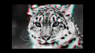immagini 3d!!! con occhialini rosso e ciano