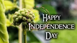 Happy Independence Day SMS