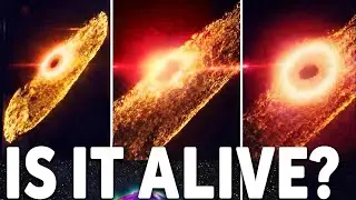 NASA Discovers Alien Civilization? Mysterious Signal Confirmed