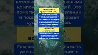 Зачем нужен Глюкозамин и хондроитин #бады #iherb #здоровье #польза