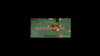 Minecraft bonus chest #shorts