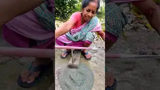Cutting n Cooking Asian swamp eel #646 #sandhyasvillagelife #eel #eelcatching #villagelife