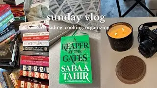 Cozy Sunday Vlog: Books, Tea, and Blizzards 📚✨