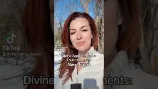 Divine Appointments: Your Chance to Make Miracles