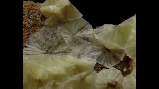 185441537948 WAVELLITE - Czech Republic, Bohemia, Cerhovice, Třenice /black_orion666/
