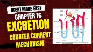 Excretory Products & their Elimination| Part 04 | Counter Current Mechanism | NCERT Explain| NEET