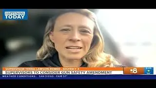 Sup. Lawson-Remer: Right to Safety Amendment Would Keep Kids Safe - KFMB-TV