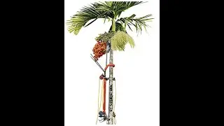 Arecanut / Supari  /  Betelnut Tree Climber Machine [ Call us on +91 8075416685 ]