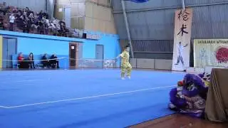 Чан цюань Чу цзи Бровары, турнир Мини Панда 2017
