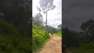 Pos Sinderut ride with insta 360 #yamahapg1#instax4#ride#advebturerider