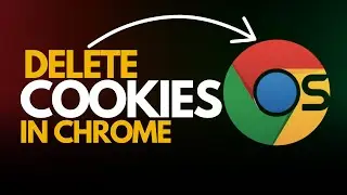 How to Delete Cookies & Other Site Data in Google Chrome (Quick Guide!)