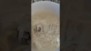 Learn how to make Fresh Noodles soup