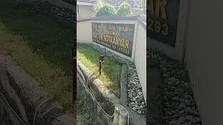 Pendampingan Hukum Polsek