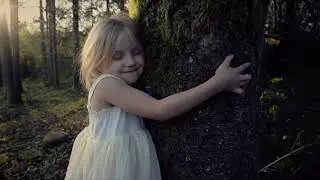 The memory of trees ~ Enya