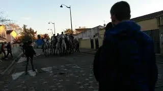 12/01/20 Abrivado Manade Labourayre &Agrave; Caissargues Passage 4