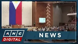 Garbin firm cha-cha push not to meant to extend political terms | ANC