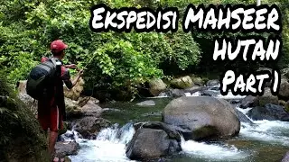 Ekspedisi Mancing ikan SEMAH / MAHSEER Spot Hutan Sumatera | Mahseer fishing in deep Jungle Part 1