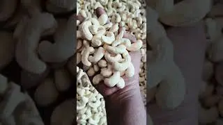 W180 Cashew Nuts | Available on IndiaMART