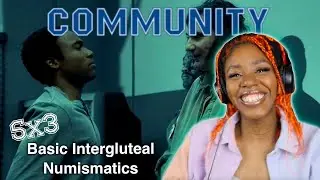 Community 5x3 | Basic Intergluteal Numismatics | REACTION/REVIEW