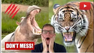 Top 10 Most Dangerous Zoo Animals