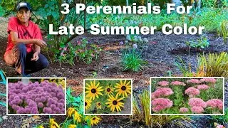 Adding A Splash of Late Summer Color in the Garden