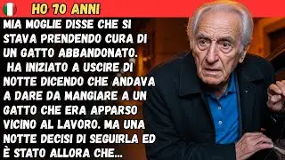 MIA MOGLIE DISSE CHE SI STAVA PRENDENDO CURA DI UN GATTO ABBANDONATO.HA INIZIATO A USCIRE DI NOTTE..