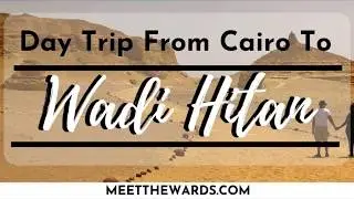 Day Trip From Cairo to Wadi Hitan National Park | #MeetTheWards