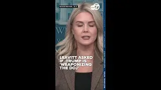 Leavitt on Trump's DOJ comments: 'He wants accountability for these corrupt fraudsters'
