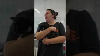 Abandoned Cats and Kittens at Rain Rescue &ndash; Stray and Co Visit