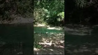 🇭🇹#whiteriver 🇯🇲 #jamaica #caribbeanlife #caribbeanlifestyle #beach #caribbean #islandvibes #travel