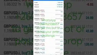 #shorts #forex #daytrader  #blissbilliondollar #nextstepfunded #ftmo #myforexfunds