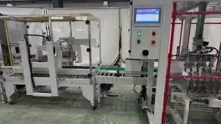 APXY 8040 Case Packing Machine by XY Axis