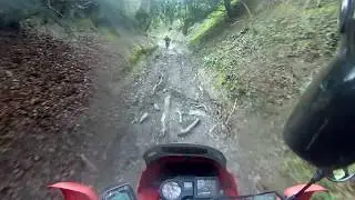 Hawkley - Down Hanger Hill (Byway, N-S)