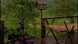 30 minutes of ASMR rain for Deep sleep &stress relief (no talking)#relax #deepsleep #rain ##1hour 