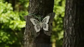 Brunssummerheide