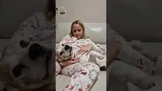 Some Beagle sounds that might melt your heart❤️❤️❤️