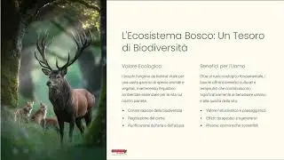 Il Bosco Modello da Imitare per la Biodiversita e Sostenibilita
