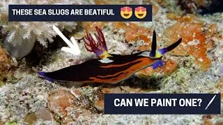 Let's paint a 