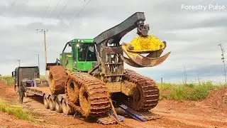14 Extreme Logging Machines in Action | Powerful Trucks, Harvesters & Rescue Operations.