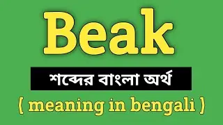Beak Meaning in Bengali || Beak শব্দের বাংলা অর্থ কি? || Word Meaning Of Beak