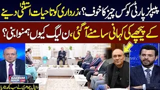 27th Amendment Passed | Zardari&rsquo;s Lifetime Immunity | The Reasons Explained | Danyal Chaudhary