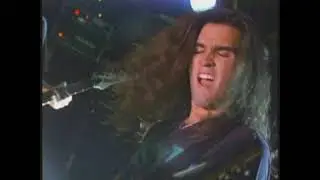 Fight Live Into the Pit