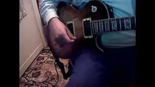 BMT tube wizard III +, VGS guitars, dimarzio evolution